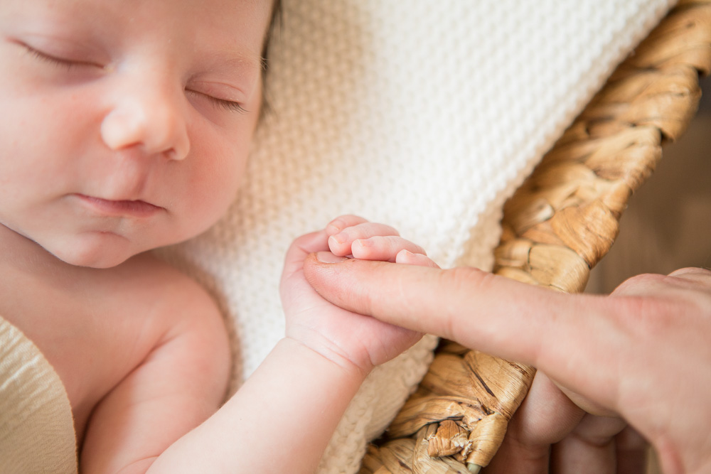 Newborn Baby Picture